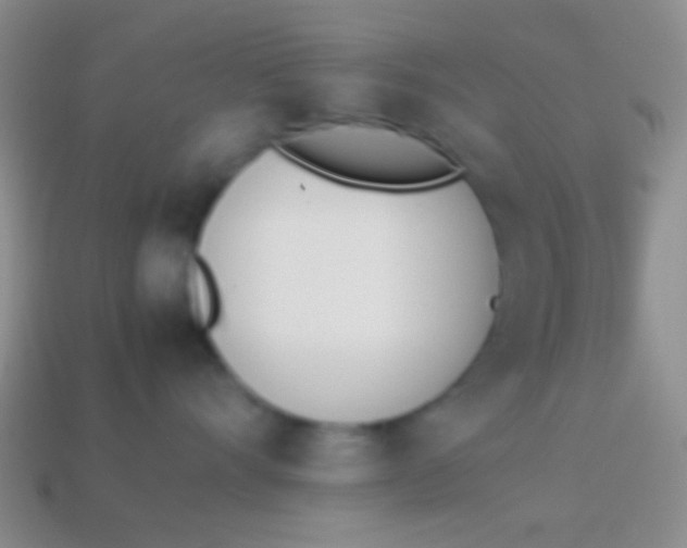 X0000114230528200910231506