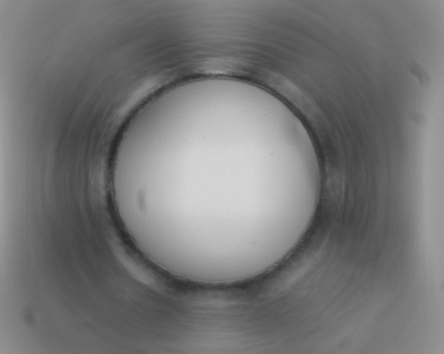 X0000114230530200910231505
