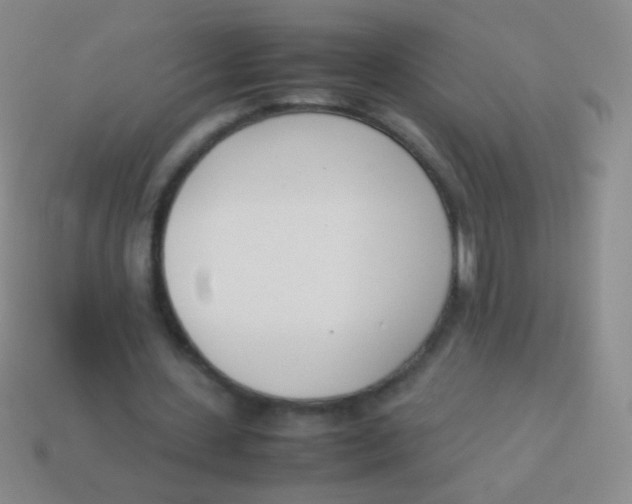 X0000114230531200910231505