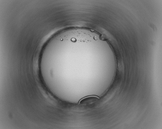 X0000114230532200910231505