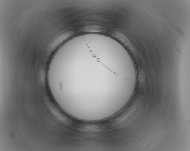 X0000114230533200910231506