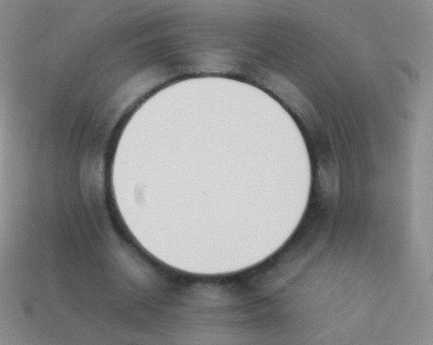 X0000114230534200910231506