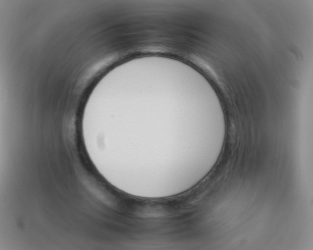 X0000114230535200910231506