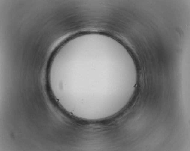 X0000114230536200910231506