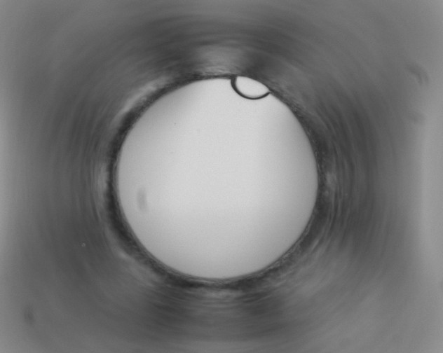 X0000114230539200910231506