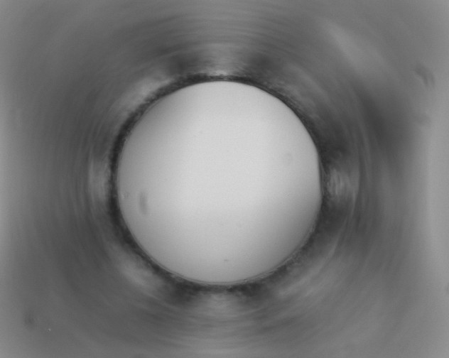 X0000114230540200910231506