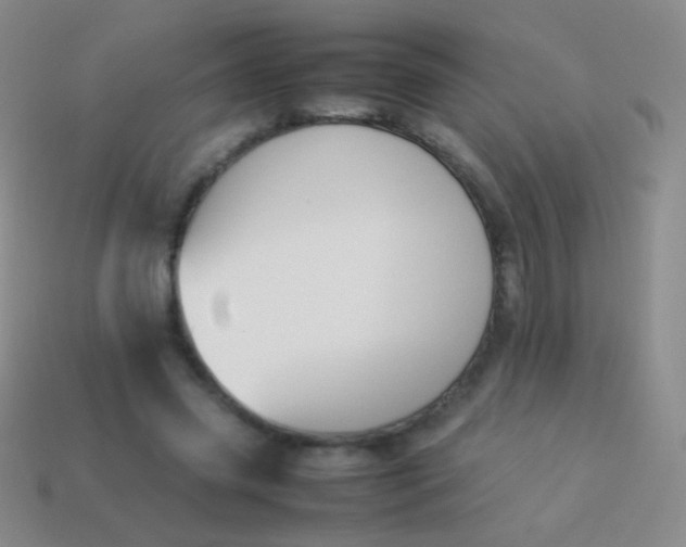 X0000114230541200910231506
