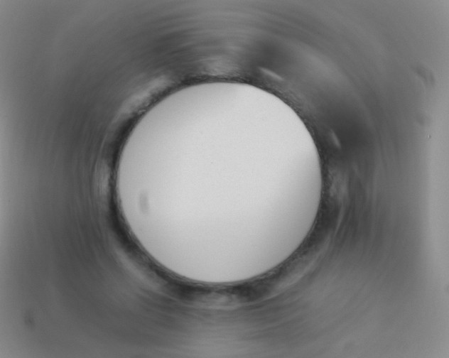 X0000114230542200910231506