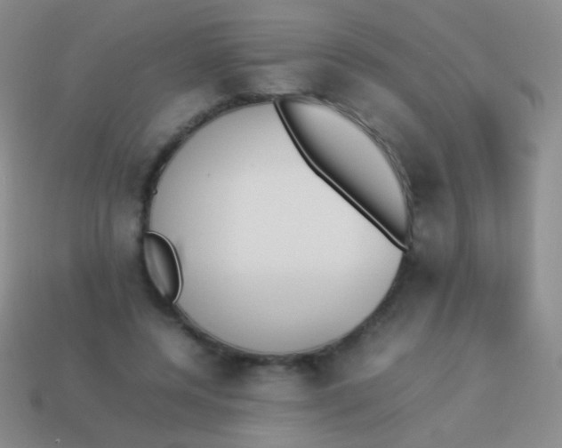 X0000114230544200910231506