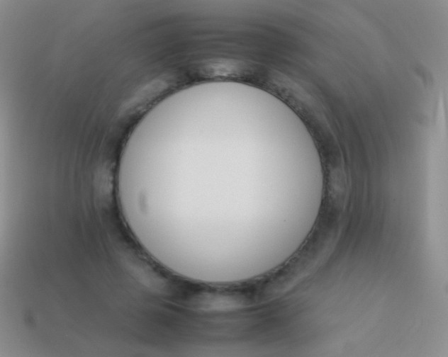 X0000114230545200910231506