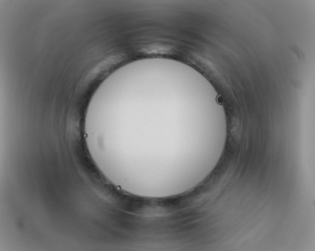 X0000114230547200910231506