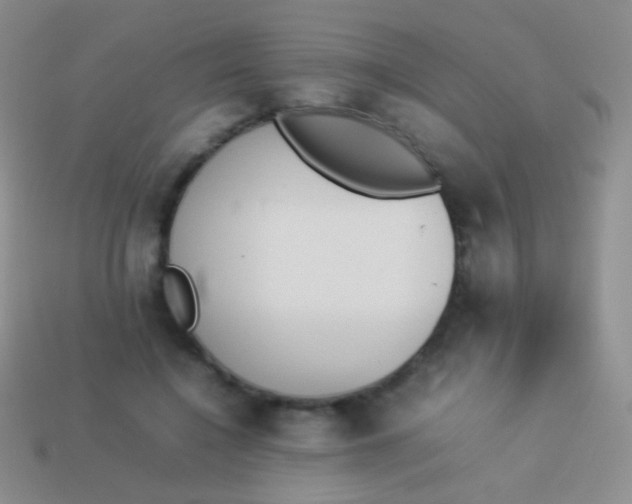X0000114230548200910231506