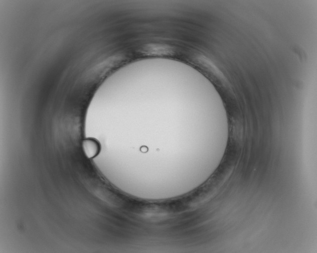 X0000114230549200910231506