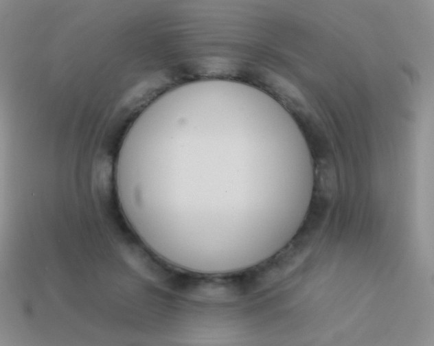 X0000114230550200910231506