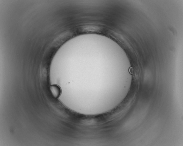 X0000114230551200910231506