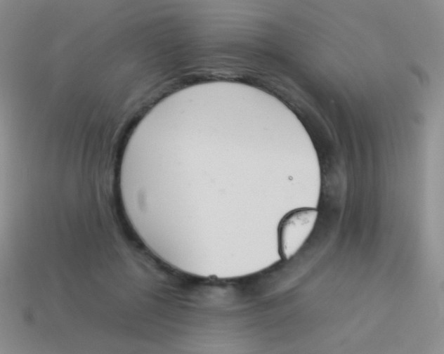 X0000114230552200910231506