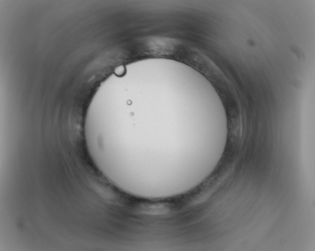 X0000114230553200910231506