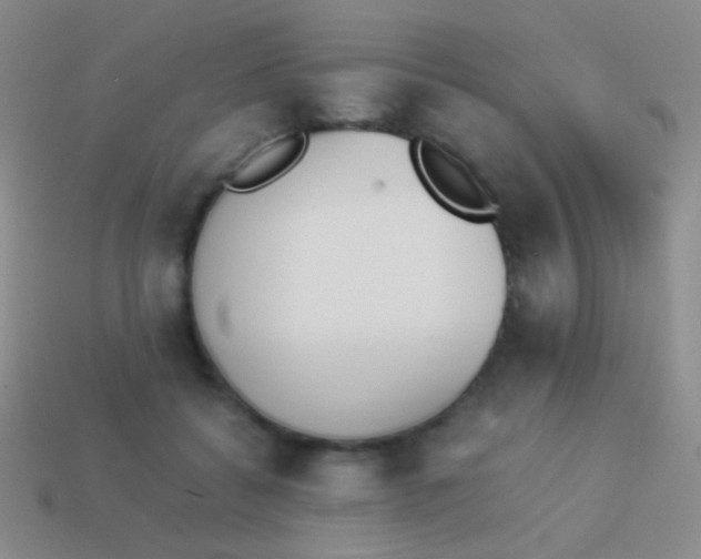 X0000114230556200910231506