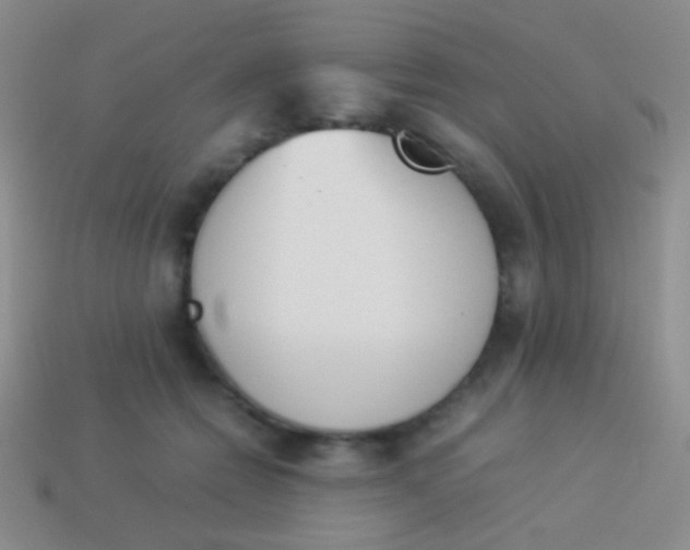 X0000114230558200910231506