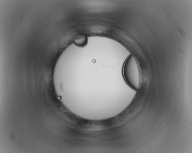 X0000114230559200910231506