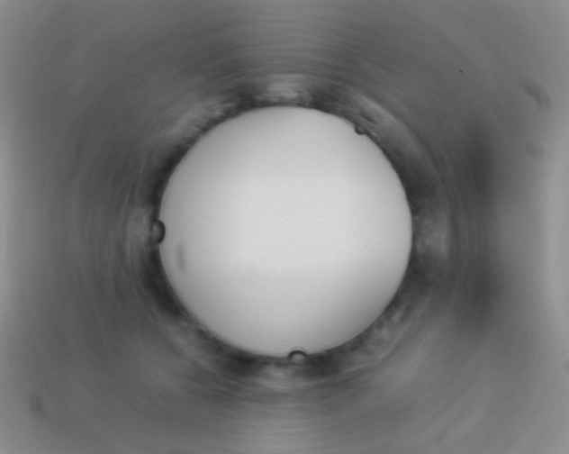 X0000114230560200910231506