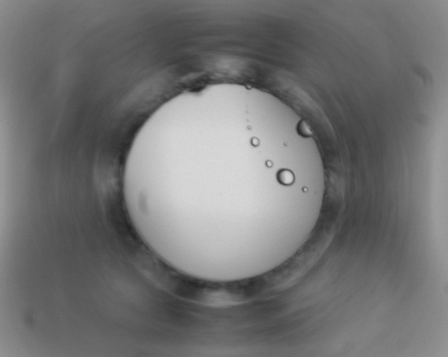 X0000114230561200910231506