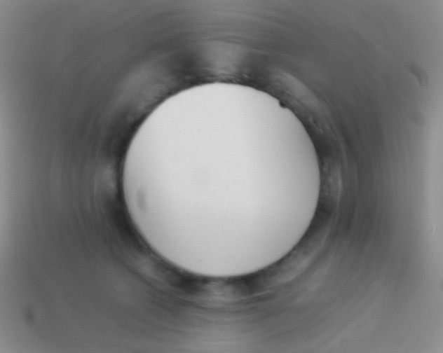 X0000114230562200910231506