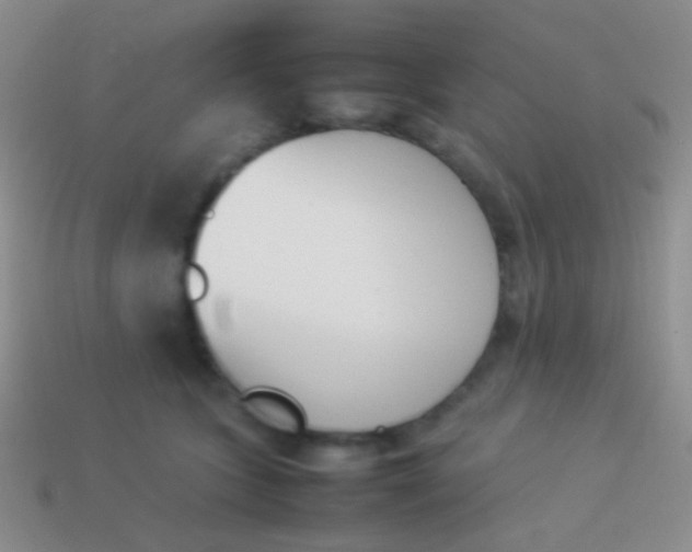 X0000114230563200910231506
