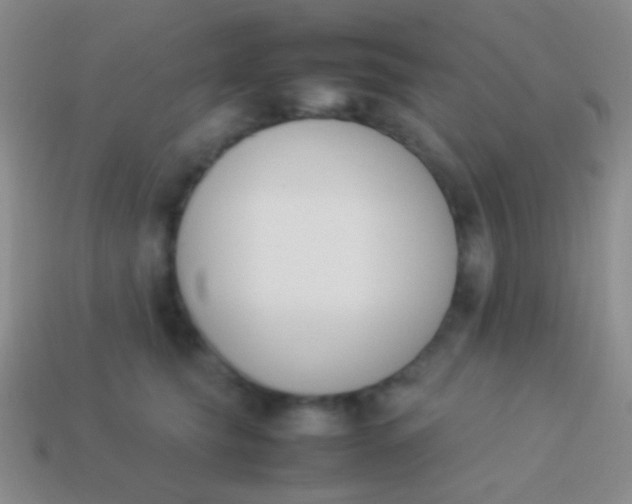 X0000114230565200910231506