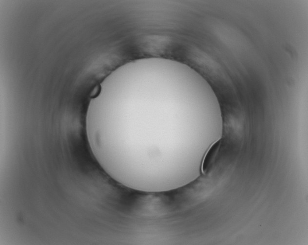 X0000114230566200910231506