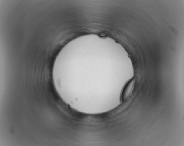 X0000114230568200910231506