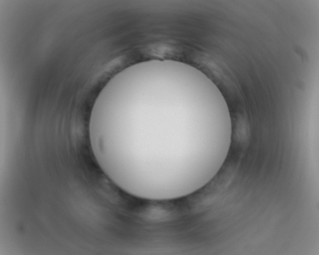 X0000114230569200910231506