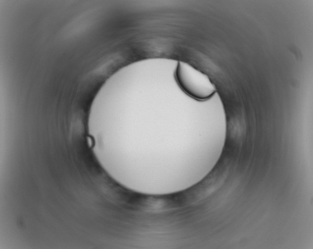 X0000114230570200910231506