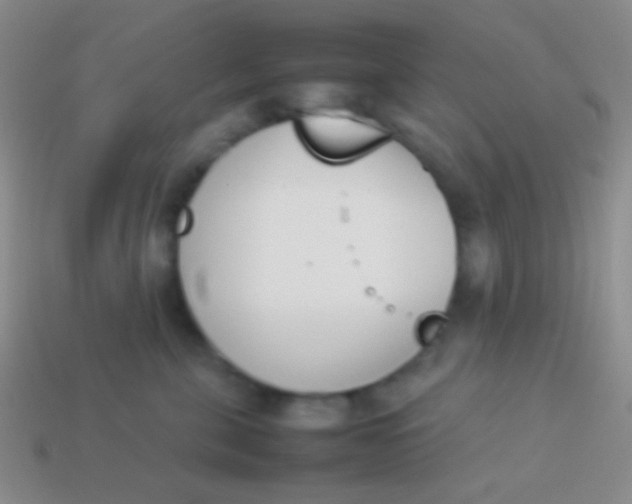 X0000114230571200910231506