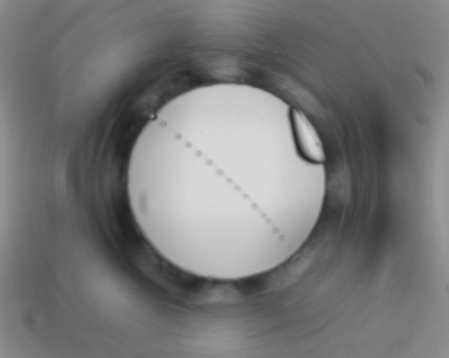 X0000114230572200910231506