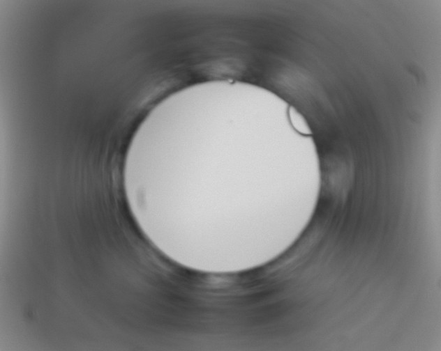X0000114230573200910231506