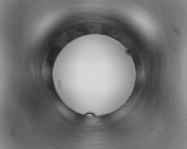 X0000114230574200910231506
