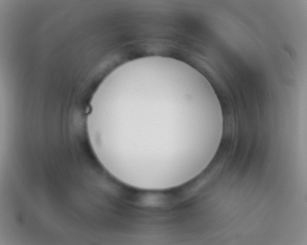 X0000114230575200910231506