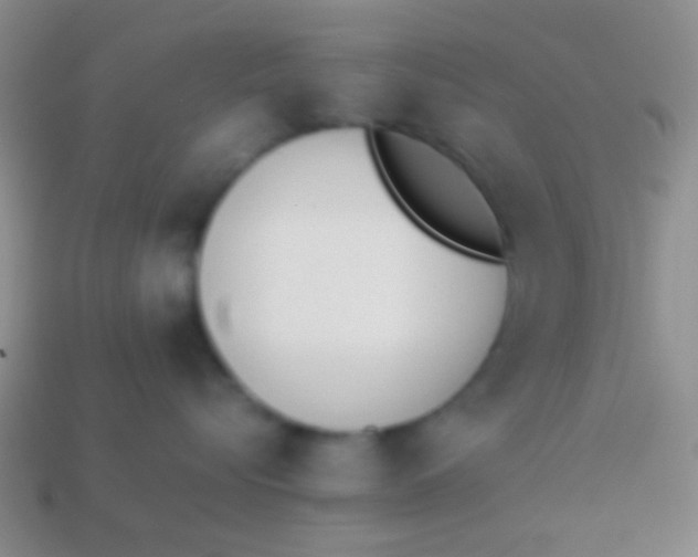 X0000114230576200910231506