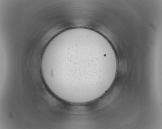 X0000114230577200910231505