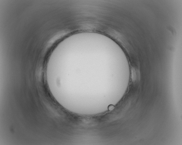 X0000114230579200910231505
