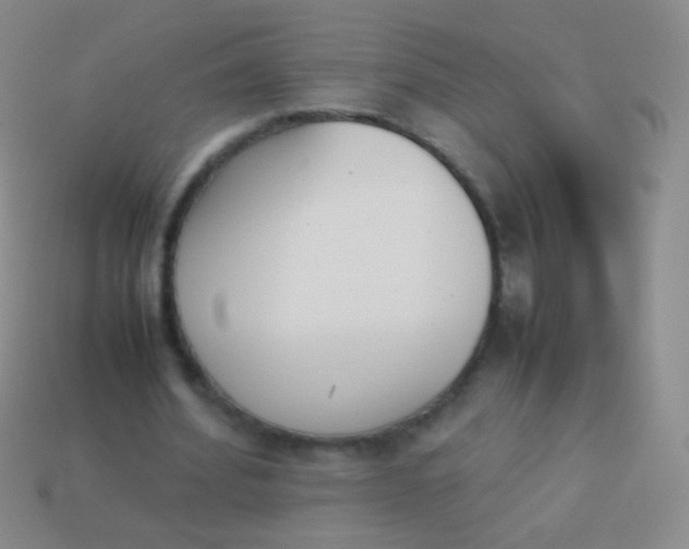 X0000114230580200910231505