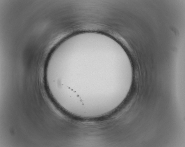 X0000114230581200910231505
