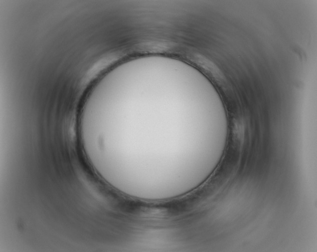 X0000114230582200910231505