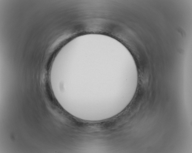 X0000114230583200910231505
