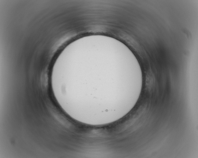 X0000114230584200910231505