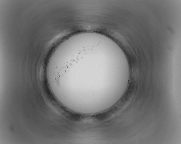 X0000114230587200910231505