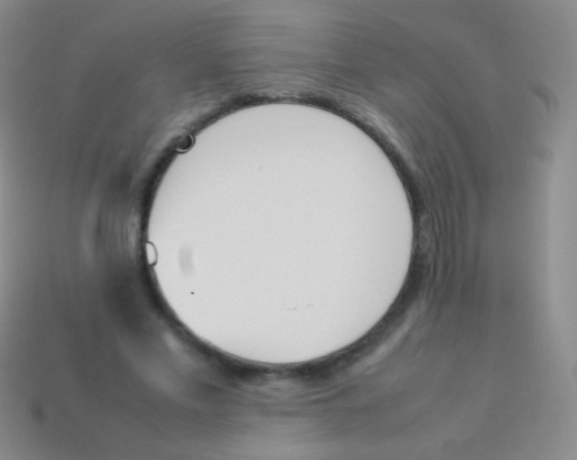 X0000114230589200910231505