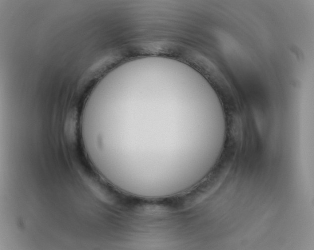 X0000114230590200910231505