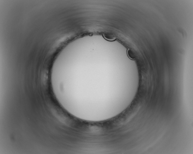 X0000114230592200910231505